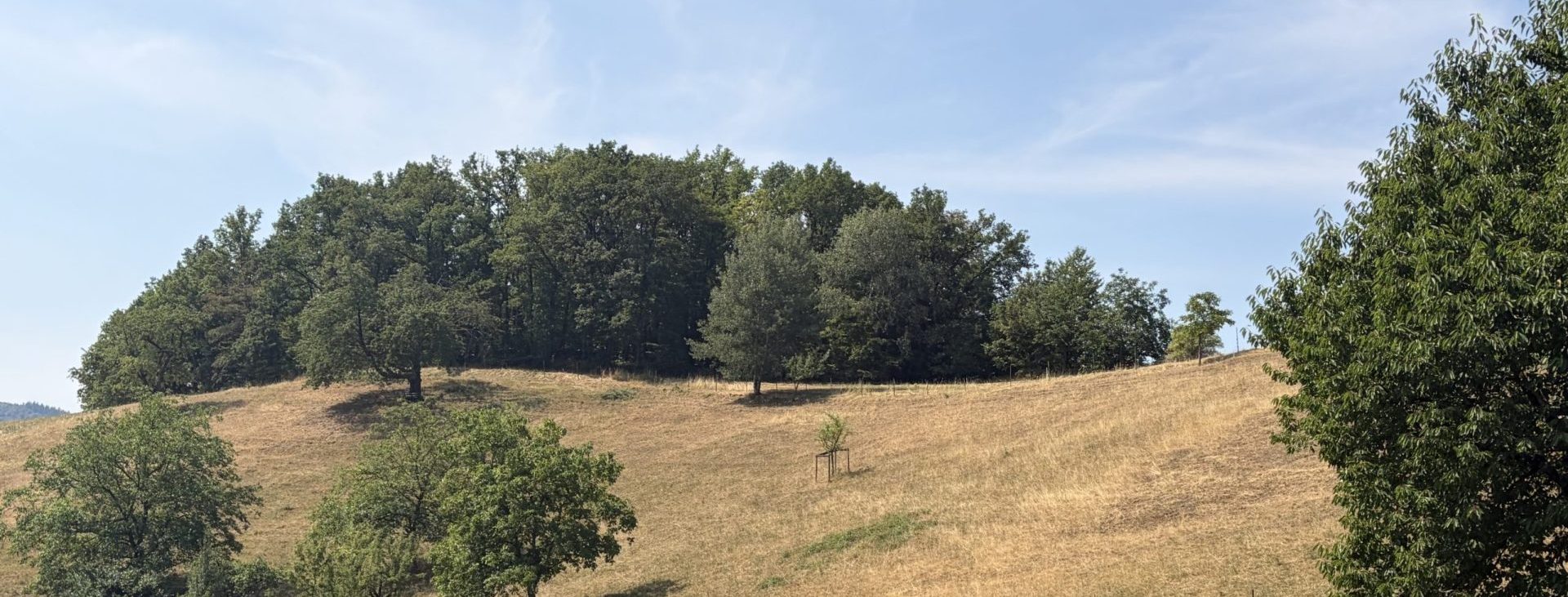 odenwald-wetter