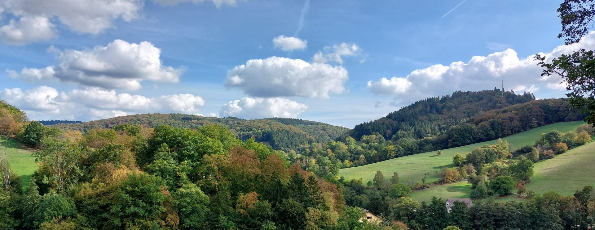 odenwald-wetter